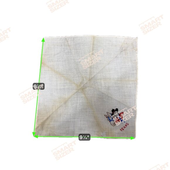 Lot 3 Vintage Texas Embroidered Handkerchief State Souvenir Longhorn Rodeo READ - Picture 9 of 14